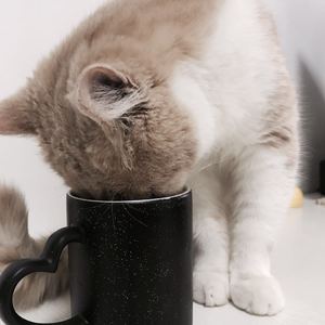 在线播放欧美精品
